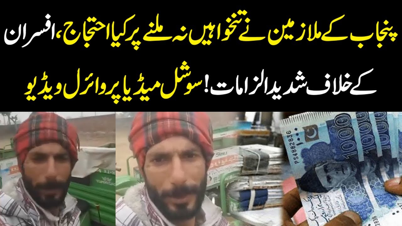 Punjab Workers Stage Protest Over Delayed Salaries, Accuse Officials | Video Goes Viral | YouDigital
