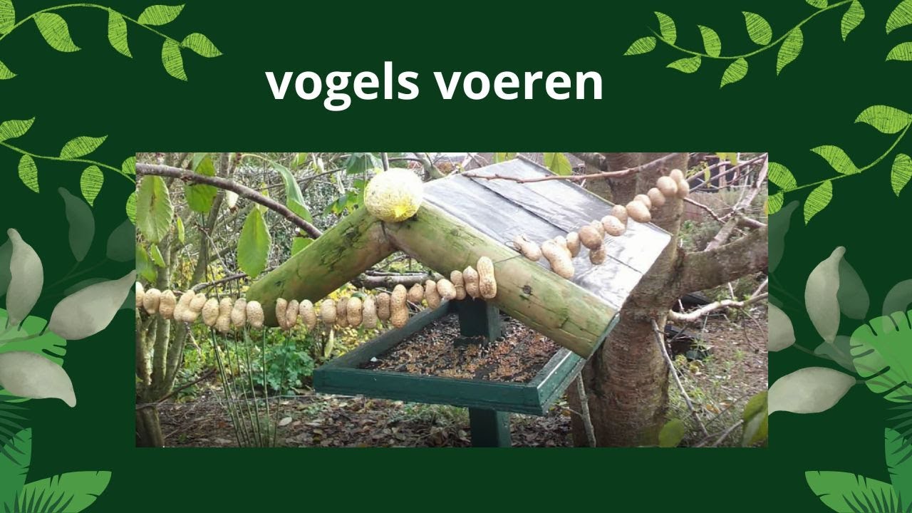 vogels voeren | vorst | herkauwers|