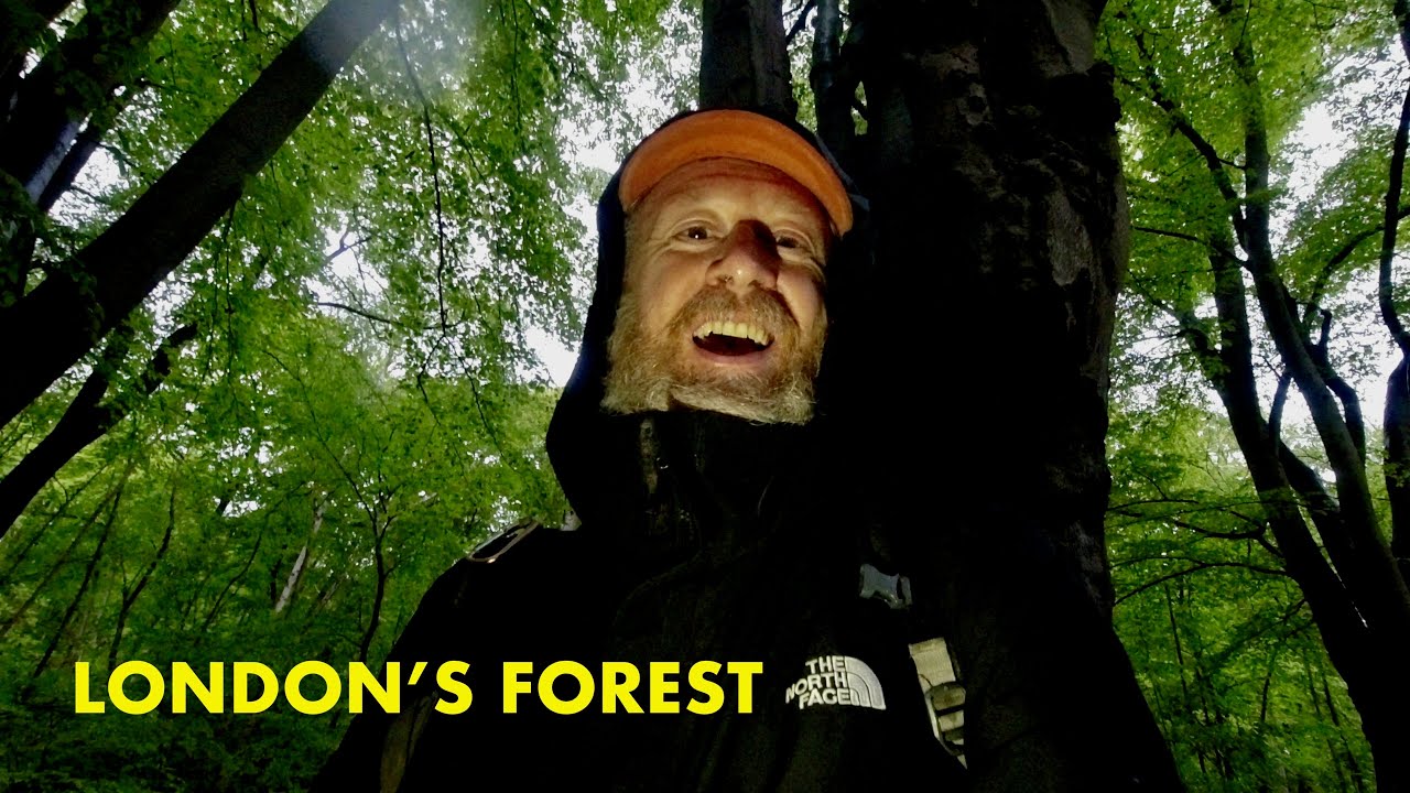 Ghosts of Epping Forest | a walk in London's forest (4K)