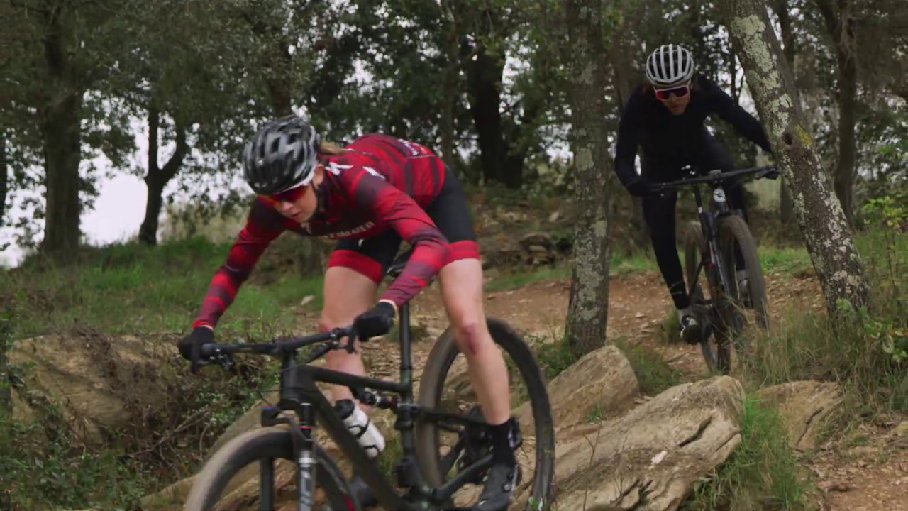 How the new Specialized Brain works