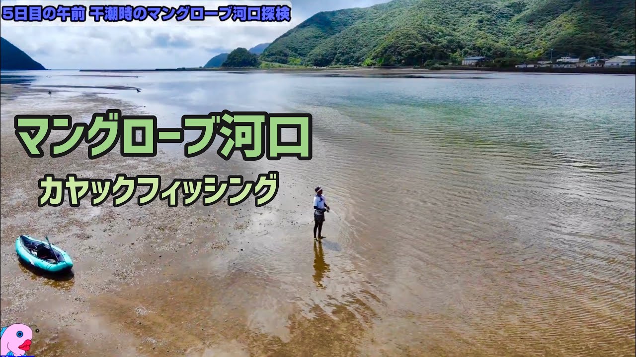 [#7奄美大島8日間]5日目の午前、干潮のマングローブ河口でカヤックフィッシング！突然爆発したようなボイルに遭遇した！#奄美大島　#マングローブ河口　#カヤックフィッシング