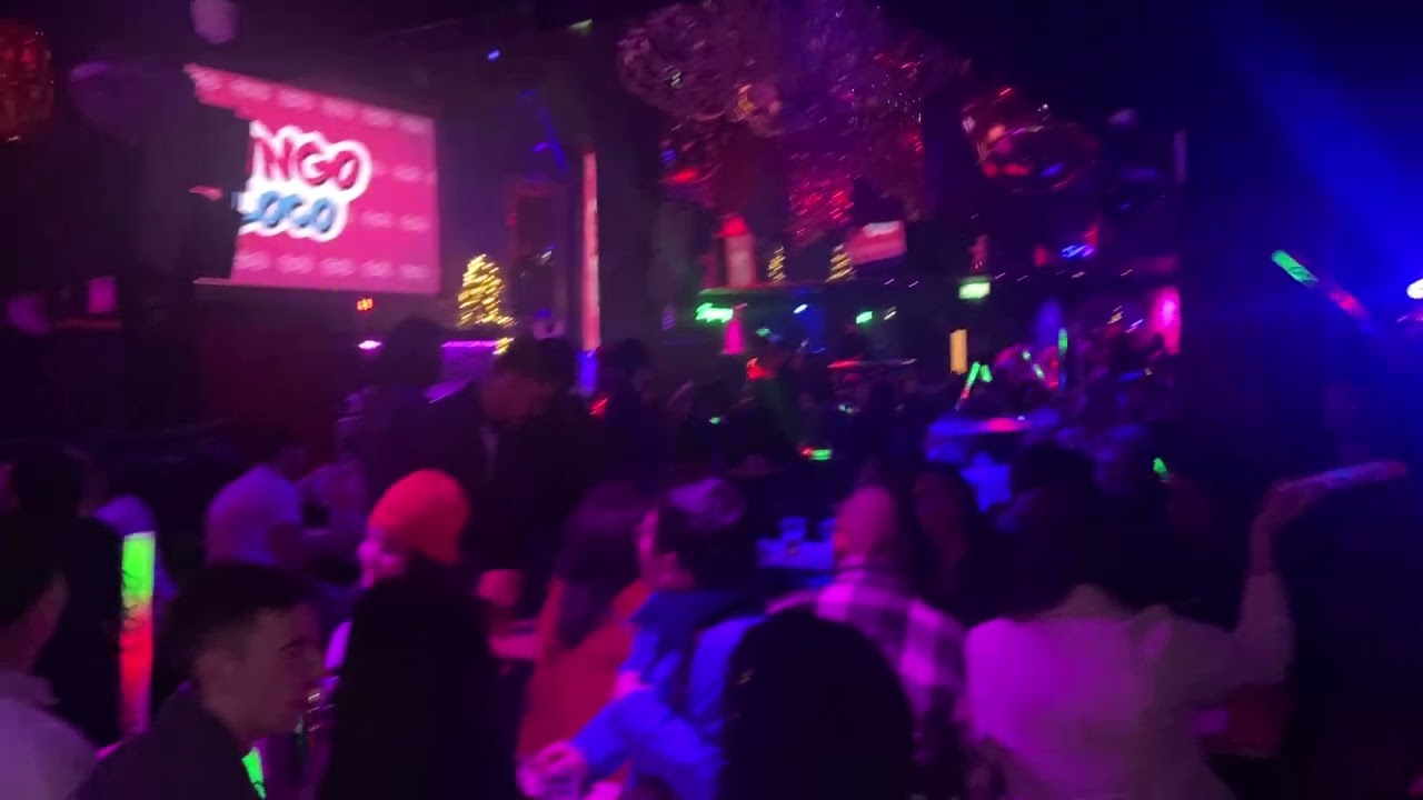 Bingo Loco Dublin Ireland 🇮🇪 🪩 💃 🕺 