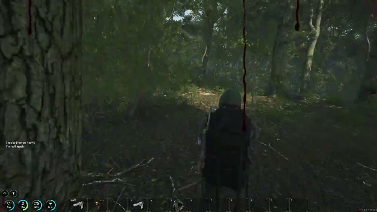 SCUM Collision :)