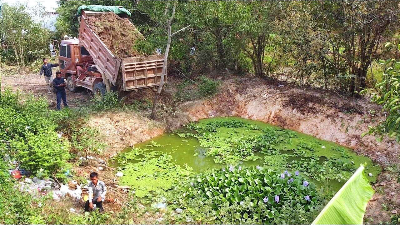 First Start Amazing PROJECT!! Landfill Delete Deep Fish Pond Use Strong Bulldozer & 5Ton Truck.