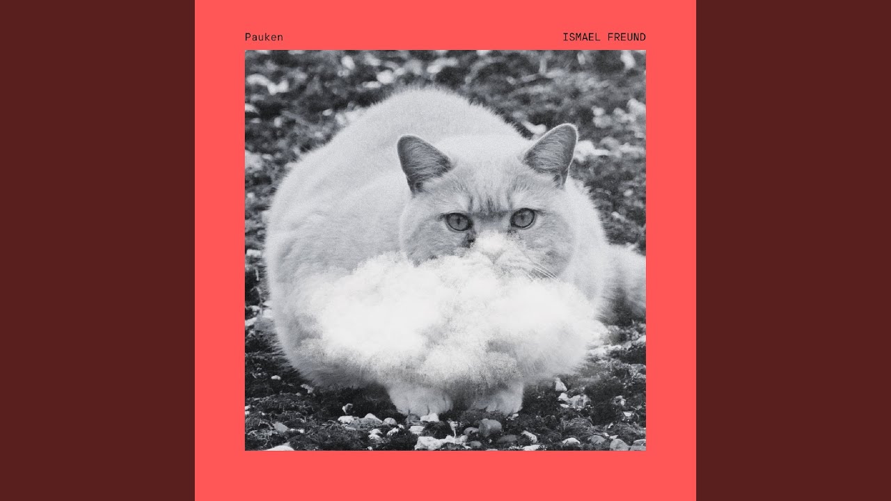F. Die Katze