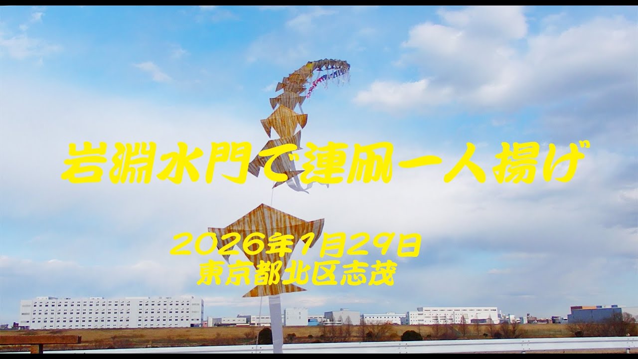 岩淵水門で連凧一人揚げ