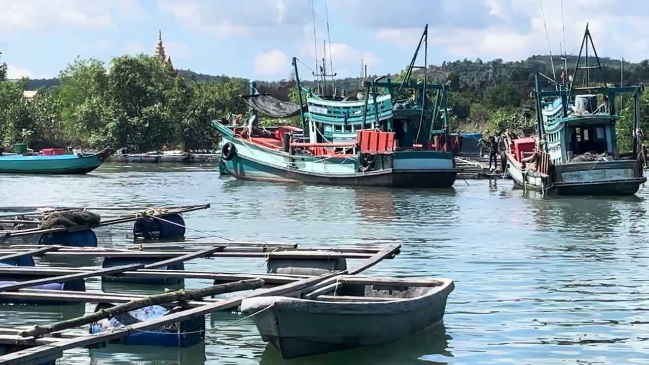 Real Fish Farm Life the Countryside | Fish Farm Life: Insane Feeding Frenzy! |