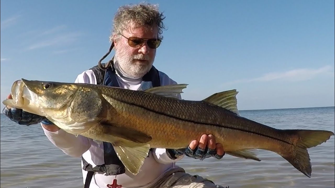 Trophy Snook on Topwater Fishing Lure!