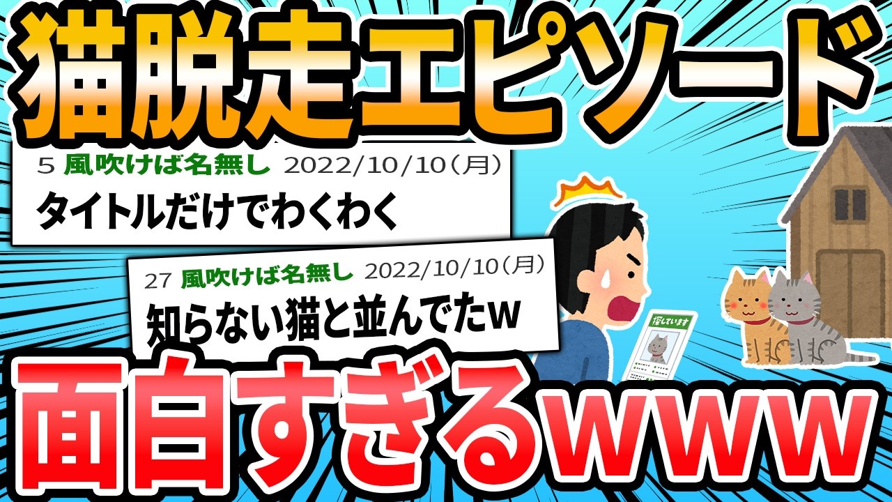 【面白】猫脱走エピソードが聞きたい【2ch面白いスレ】