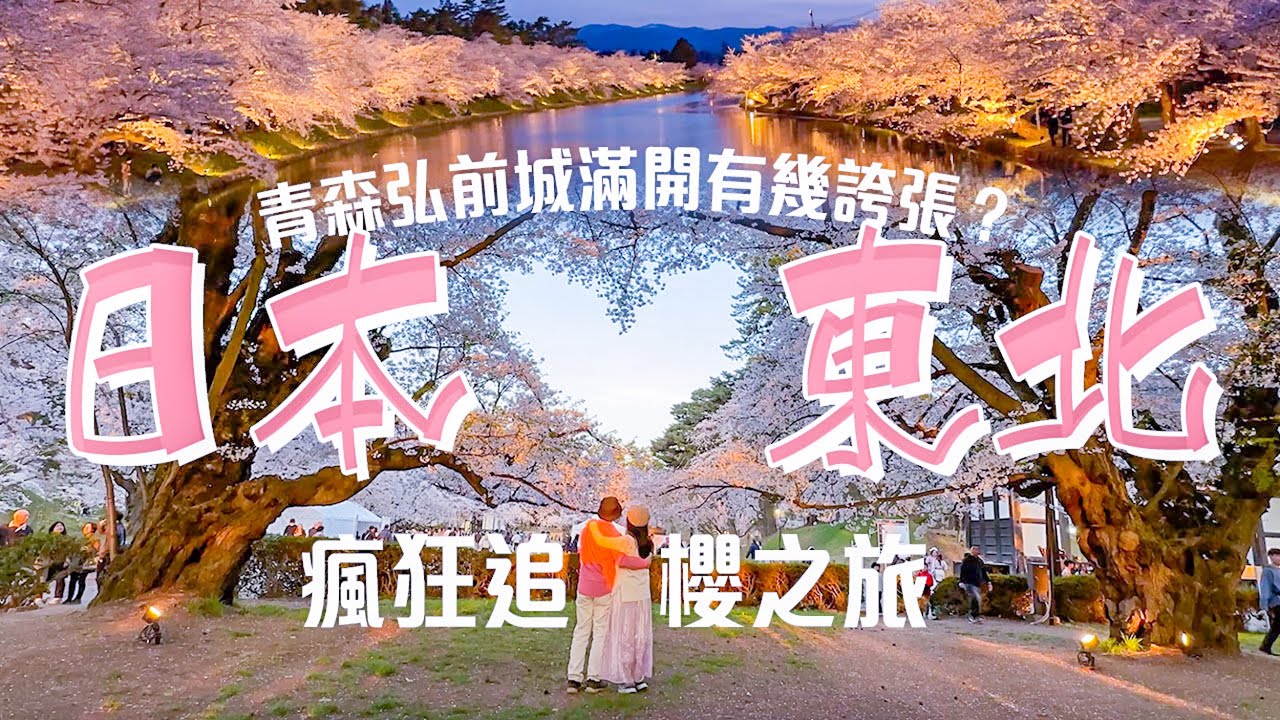 日本東北瘋狂追櫻旅(下集)🌸青森弘前城滿開🌸 ⇢ 秋田角館 ⇢ 仙台 ⇢ 日本三景松島 #日本東北 #青森 #秋田