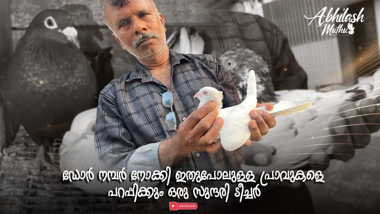 പഴയകാല പ്രചാപതി Mr, ശ്രീ കുമാർ(കൊടുവായൂർ) @Abhilashmuthu9491 