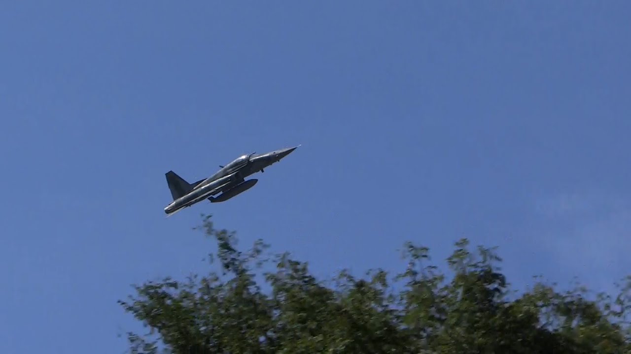 DOMINGO AÉREO PAMA SP 2025