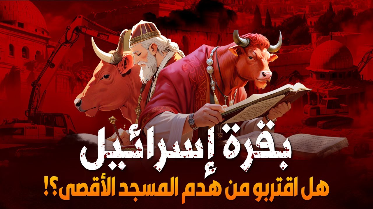 بقرة اليهود الحمراء - قصتها في القران وما يعتقده اليهود؟ وعلاقتها بما يحدث اليوم ؟هل اقتربت النهاية؟