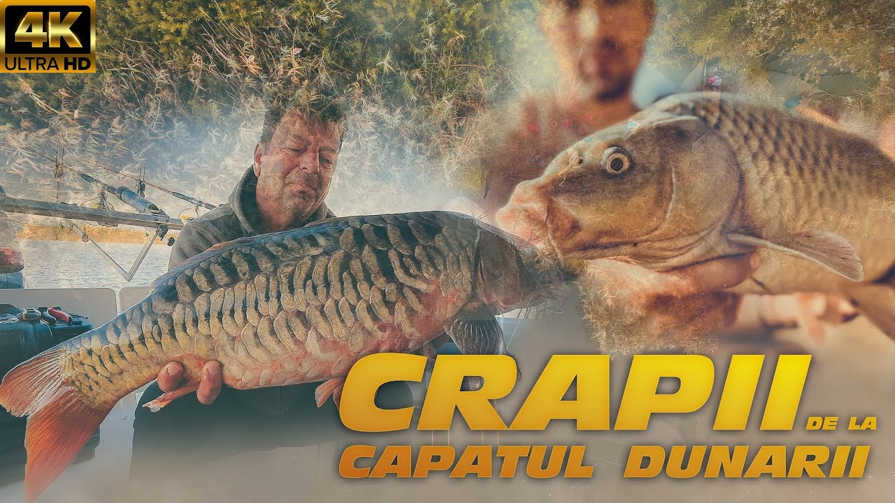 Crapii de la capatul Dunarii