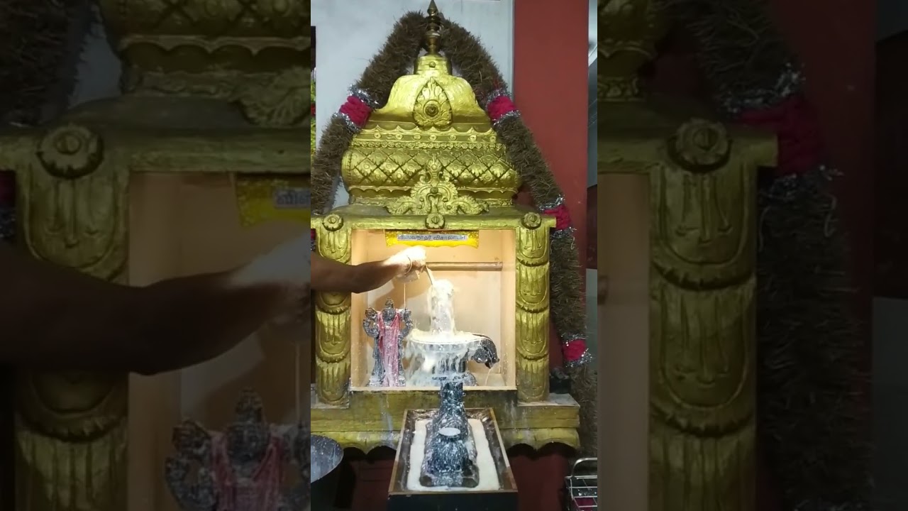 30.01.26 பிரதோஷம். விசுவநாத சமேத விசாலாட்சி தாயாருக்கு அபிஷேகம் அலங்காரம் மற்றும் தீபாராதனை 