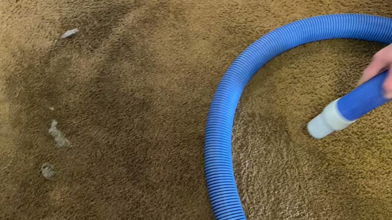 Amazing deep clean