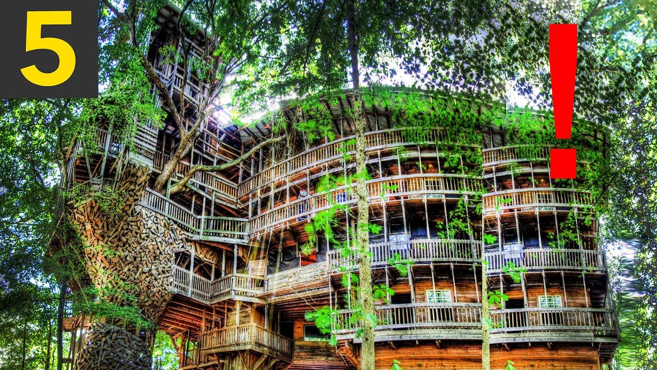 Top 5 BIGGEST Treehouses