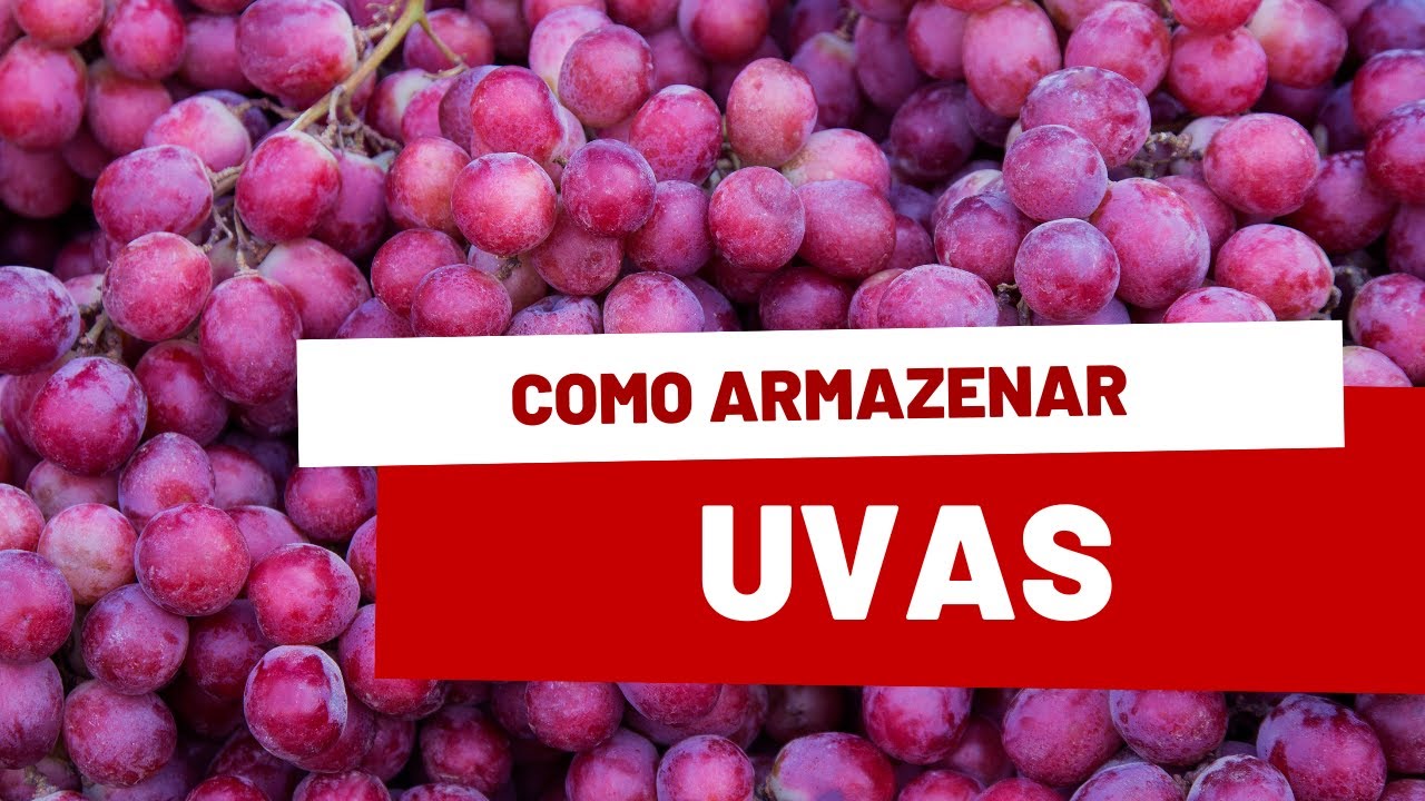 Como armazenar uva? D&aacute; para congelar?