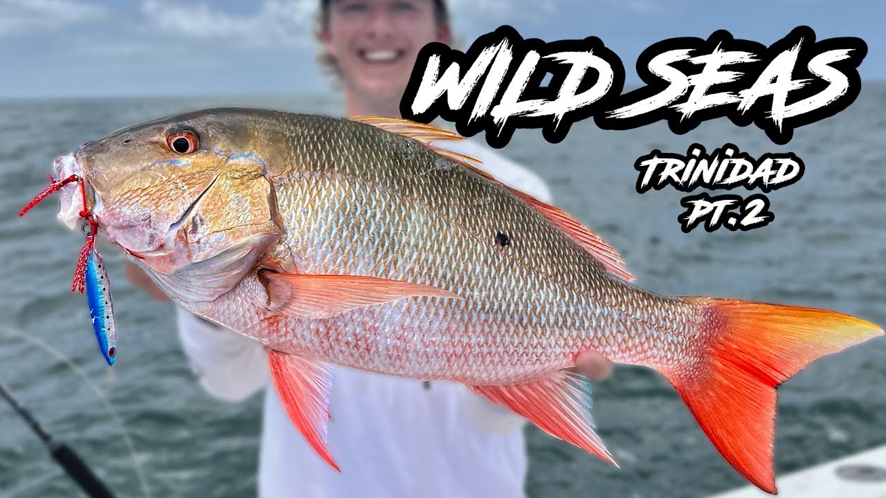 Fishing In Trinidad - Part 2: Catching Tarpon, Snapper and other species on Livebaits & Slow Jigs!