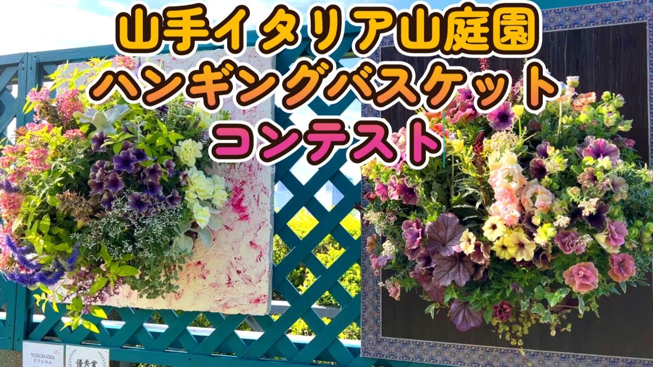 🌸横浜 山手イタリア山庭園 ハンギングバスケットコンテスト　Yamate Italian Garden
