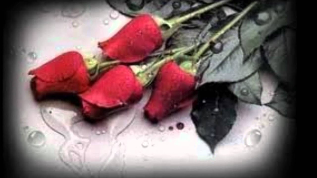 porque te fuiste la suprema corte