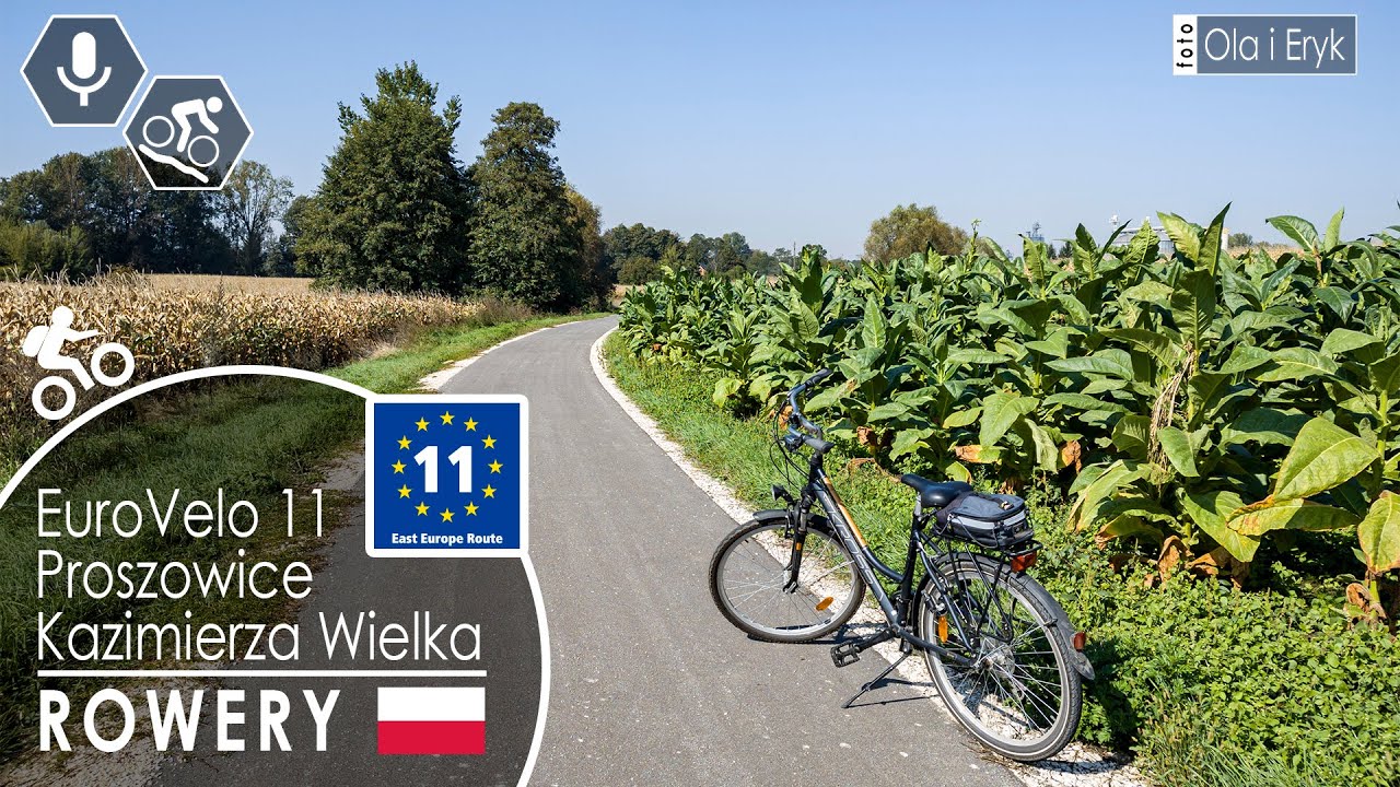 Rowery EuroVelo11: Gmina Proszowice i Kazimierza Wielka