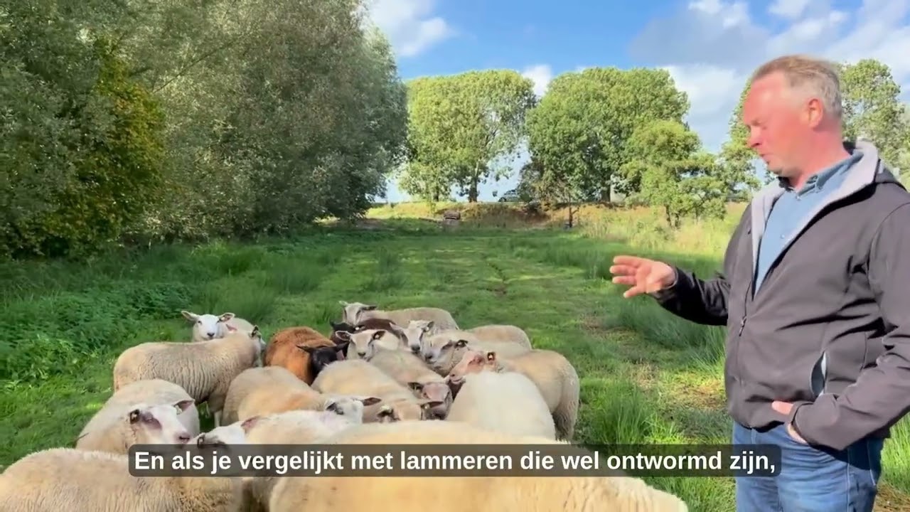 Laurens Koenen