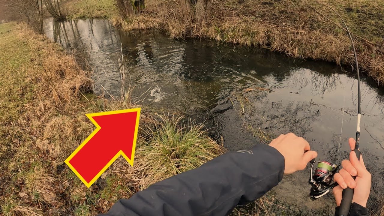 LOTS OF FISH from the NAMELESS STREAM! | Trout Spinning 2024