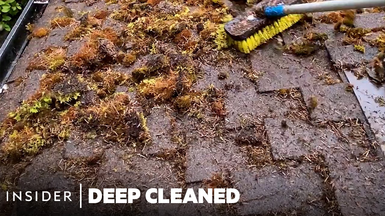 Removing Moss From Crevices Of A Roof | Deep Cleaned | Insider