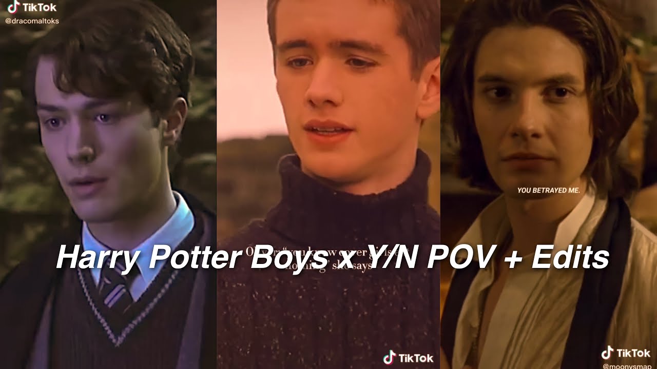 Harry Potter Boys x Y/N POV + Edits TikTok Compilation