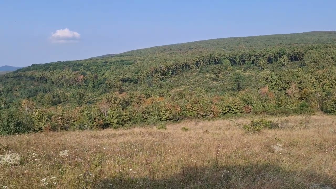 SwietelskyL&aacute;t&oacute; Aba&uacute;jsz&aacute;nt&oacute; 2024-08-19.