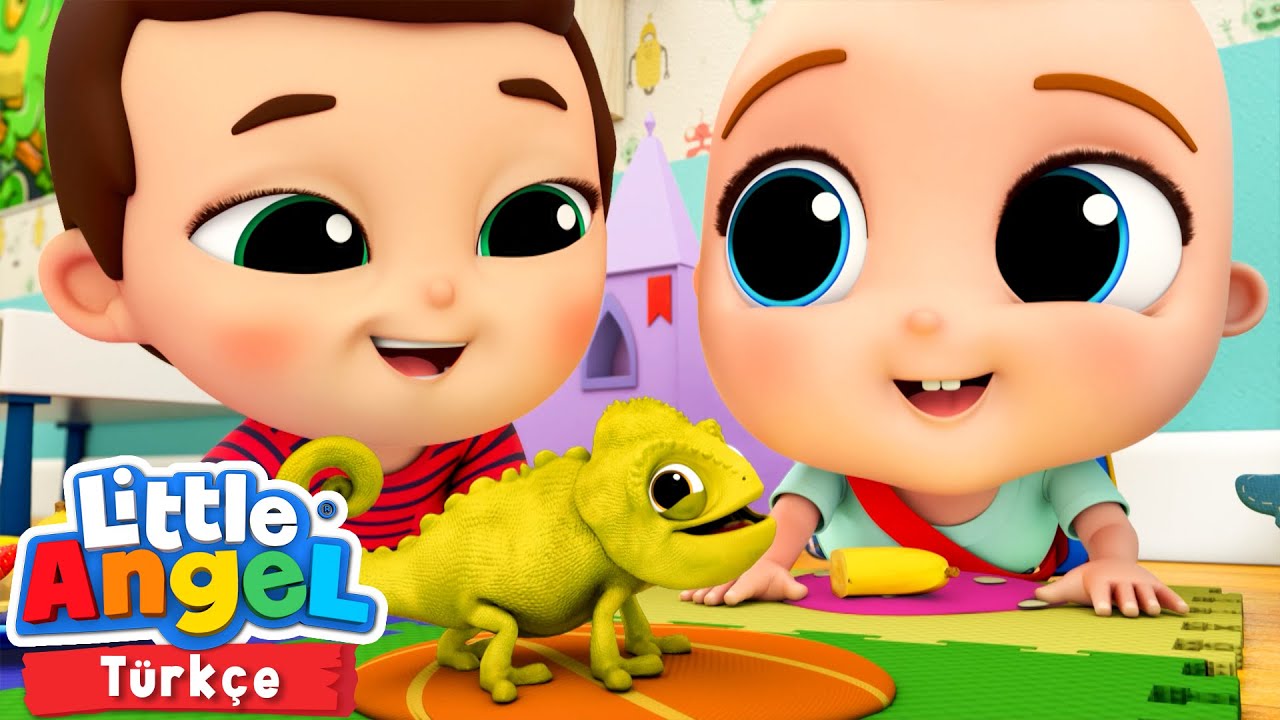 Yeni Evcil Hayvanım 🐊 Eğlenceli ve &Ouml;ğretici &Ccedil;ocuk Şarkıları | Little Angel T&uuml;rk&ccedil;e