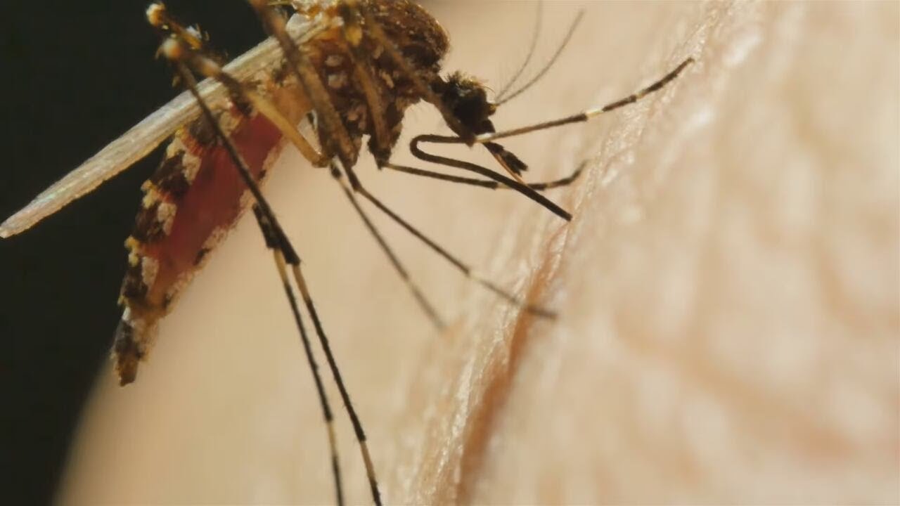 Consumer Report: 2025 best insect repellents