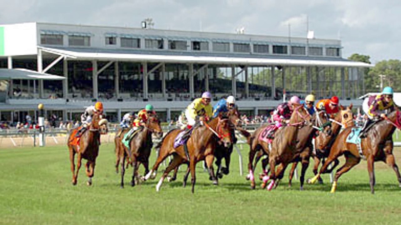 Road to Kentucky Derby 143: Leaderboard update