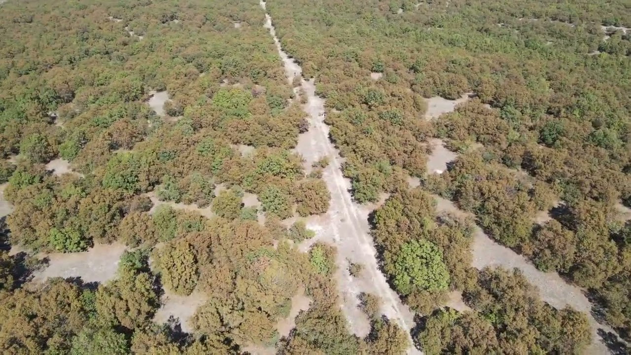 Δάσος στα Πετρανά Κοζάνης, Νέο πεδίο - Airsoft Games