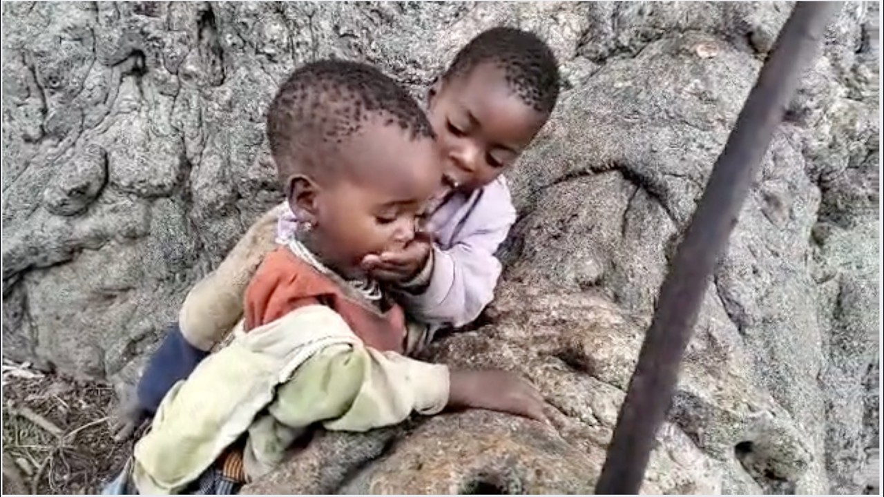The Hadzabe Grandmother&rsquo;s Warning: A True Story about Leon who took her family.in Wild#villagelife
