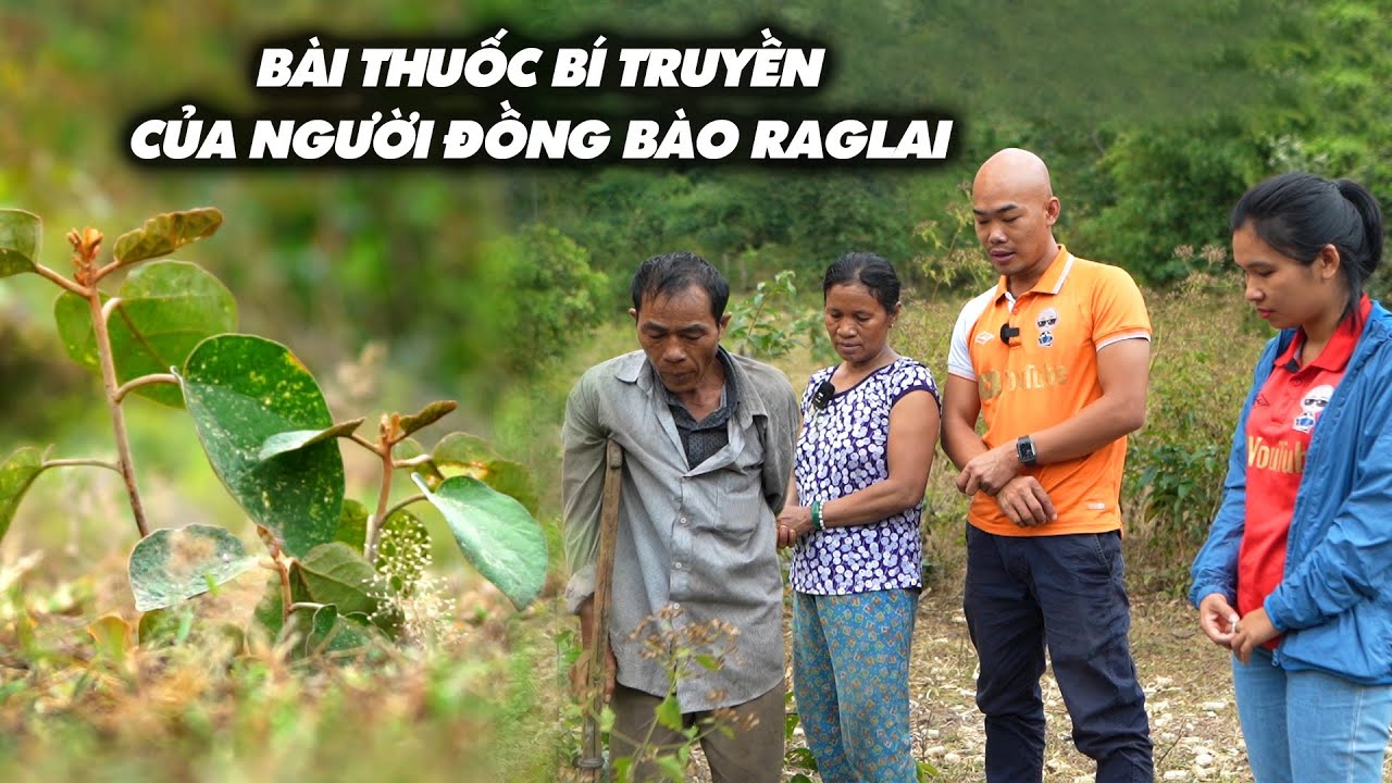 BÀI THUỐC BÍ TRUYỀN CỦA NGƯỜI “RAGLAI” GIÚP PHỤ NỮ SAU KHI SINH CON