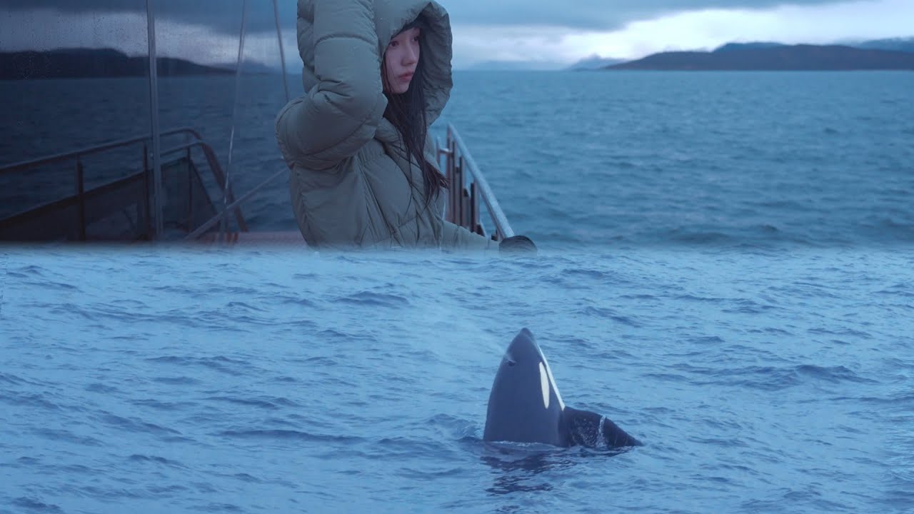 Whale Watching tour in Norway on a rainy day