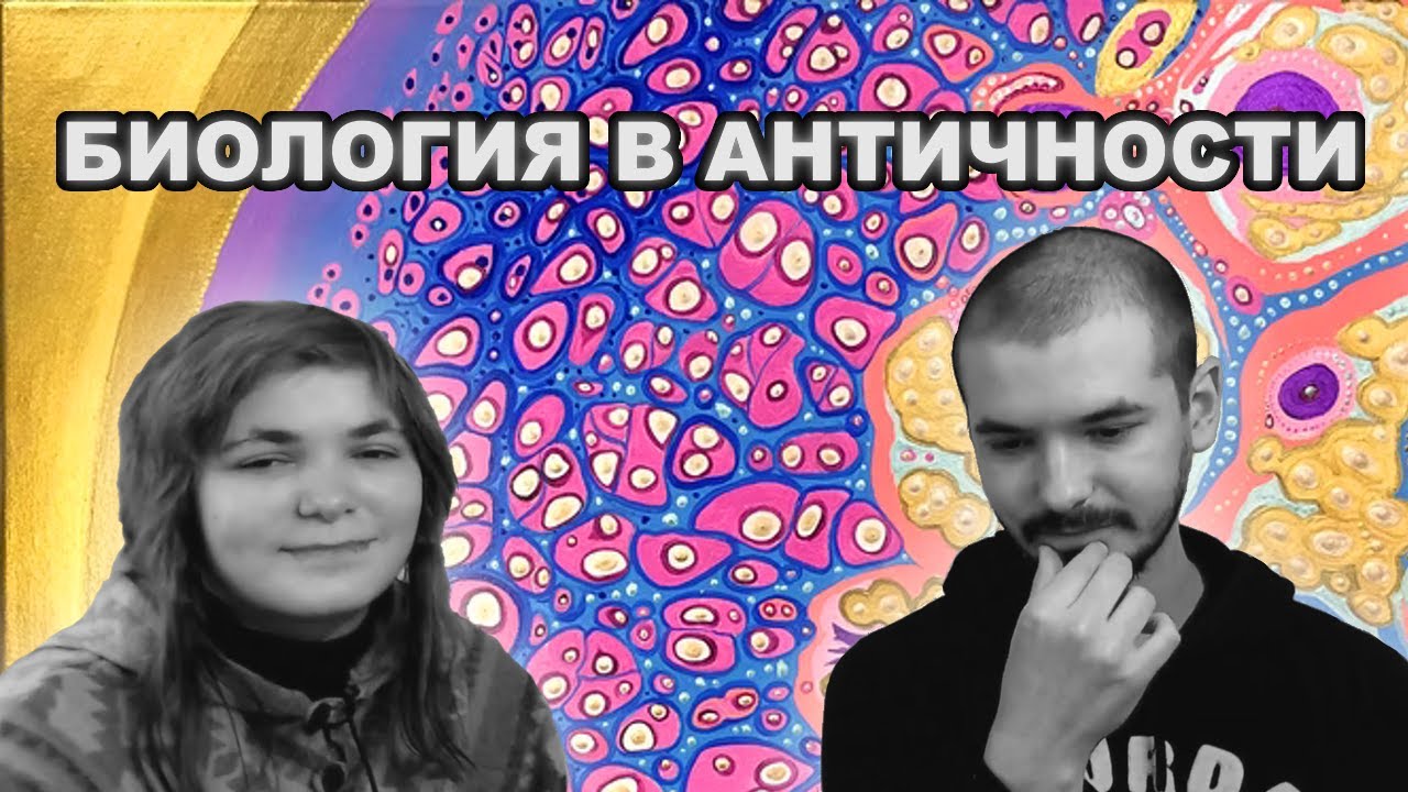 Час доказываю сестре-биологу превосходство биологии Аристотеля