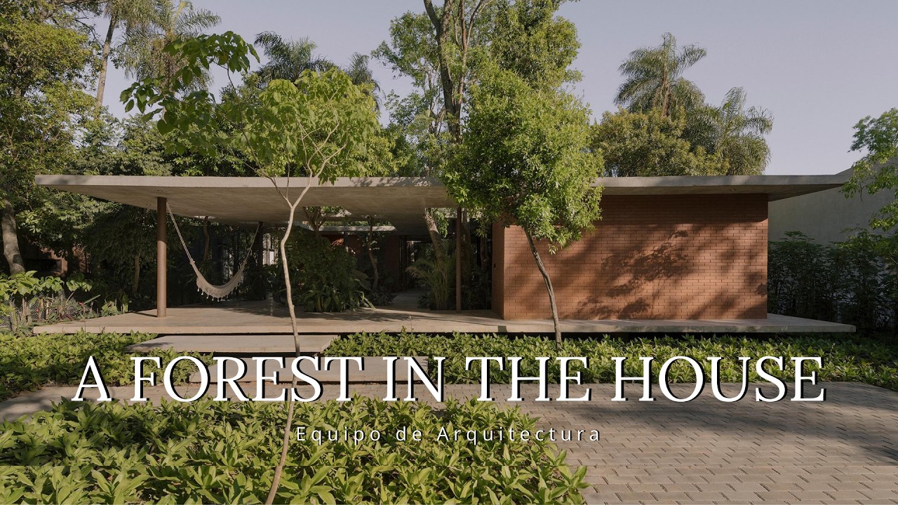 This Urban Home Hides a Forest Inside