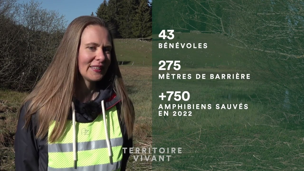 Territoire vivant : Opération sauvetage à La Givrine