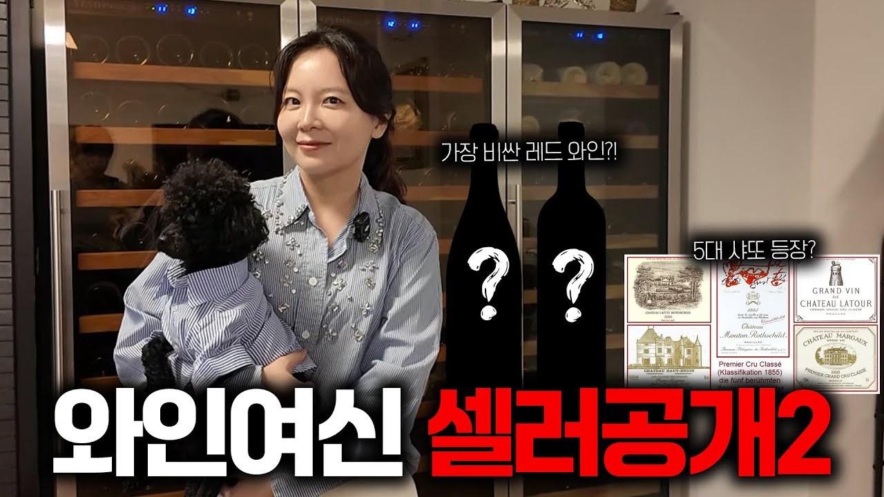 5대샤토! 페트뤼스! DRC! 말만하면 다나오는 와인여신 셀러공개 2편!!