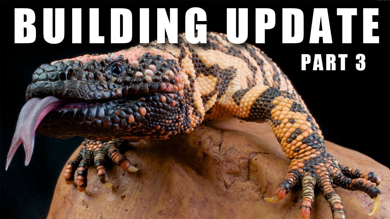 Update on the new Realm Natura building