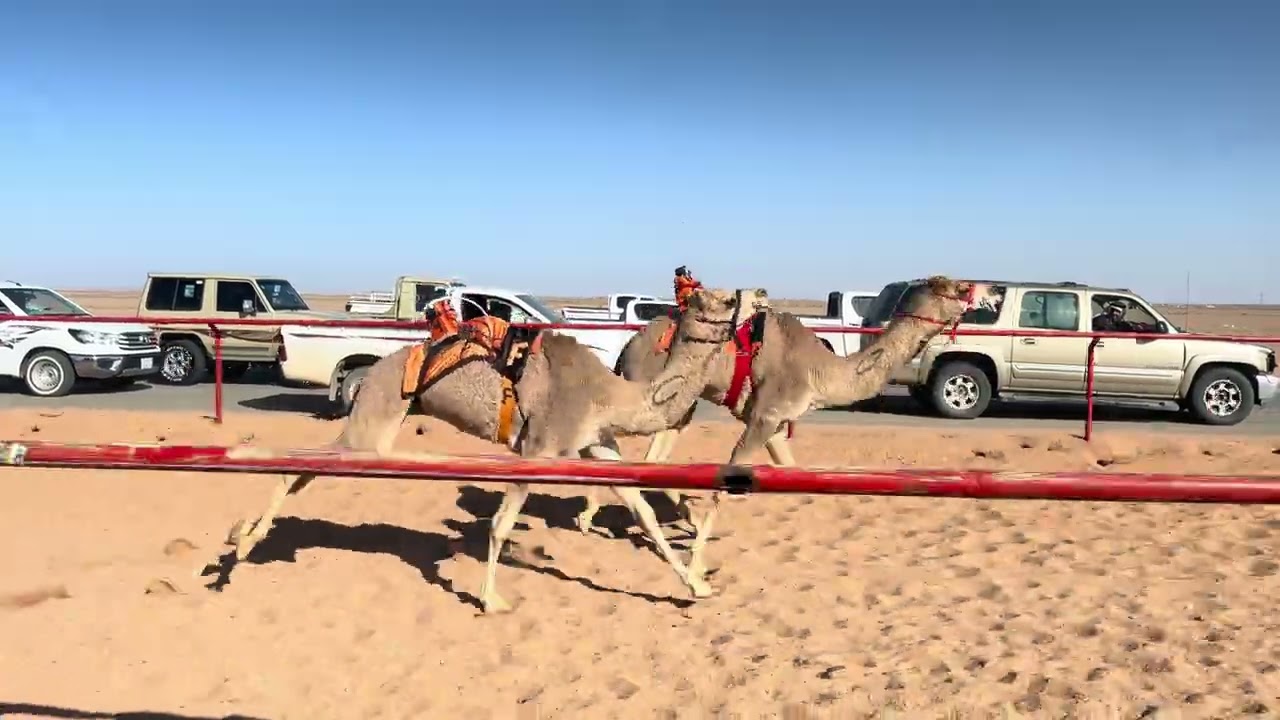 ش 9 بكار مفاريد الظبي فهد عبدالله الجروح الشمري