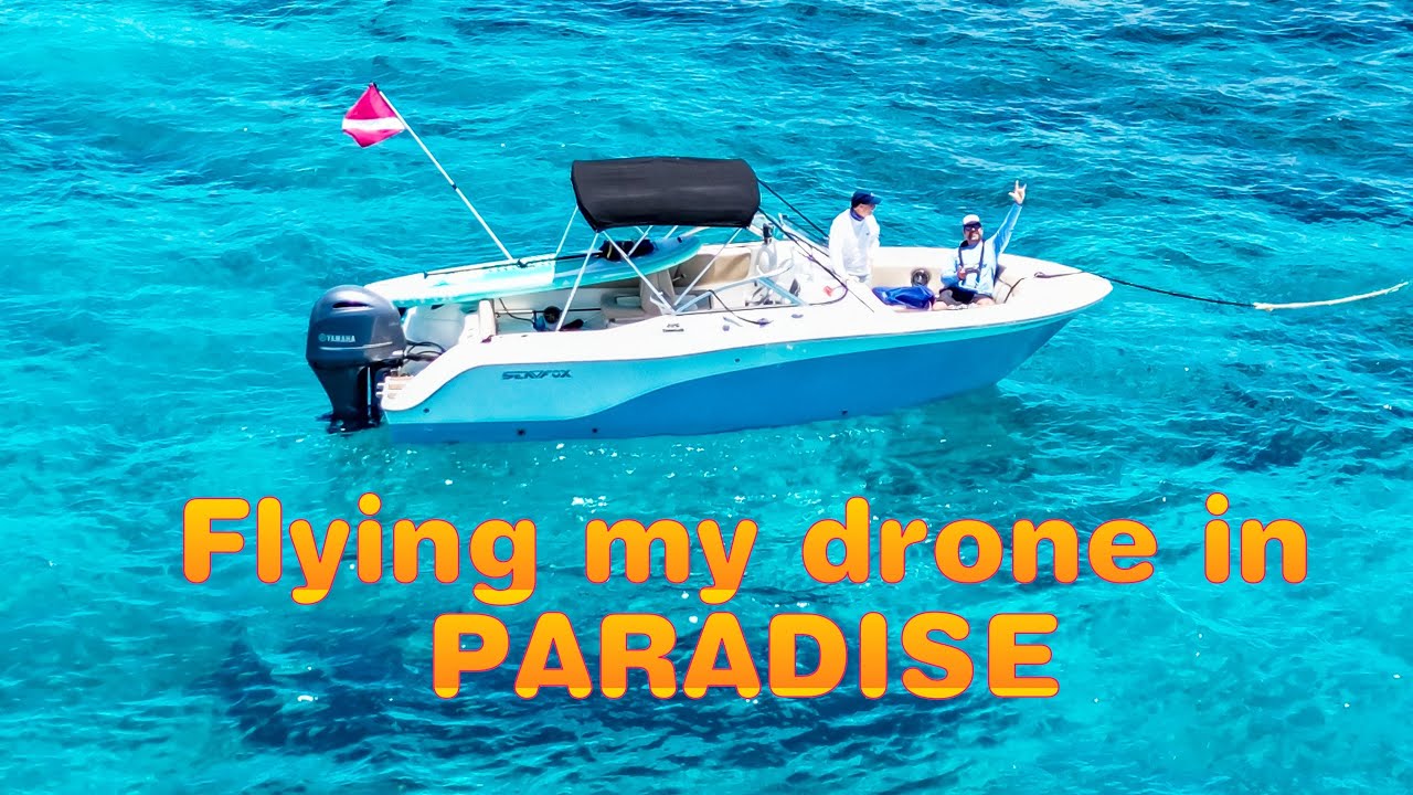 Soaring Through Paradise: A Cinematic Drone Tour of Key Largo Molasses Reef 🚁