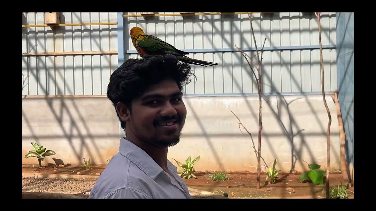 #Aaj Hamne Dekha Sattur Marg meri life ka sabse Wada S Wada Maine kabhi Bhi nahin Dekha Hai#vlog #😮😮