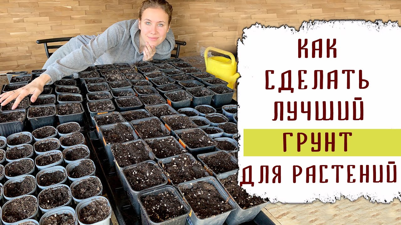 Рецепт: как сделать лучший грунт для рассады 2021 | Лучшие составы грунтов | Про покупной грунт,торф