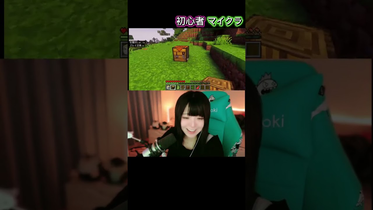 初心者マイクラ1日目