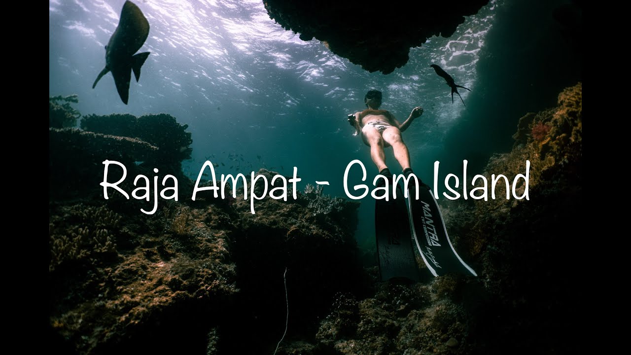 6 days in Paradise - Raja Ampat Gam Island Vlog
