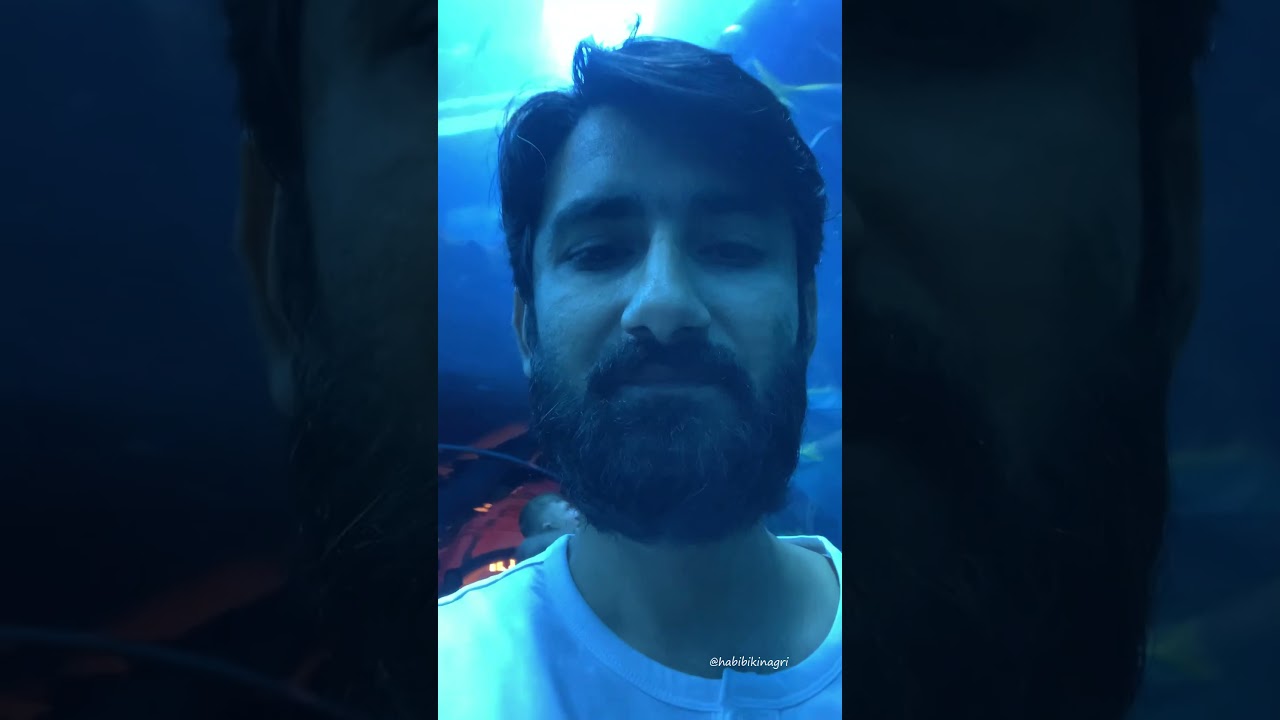 Dubai Aquarium and Underwater Zoo 🧜&zwj;♂️🐋 #shorts #trending #dubai